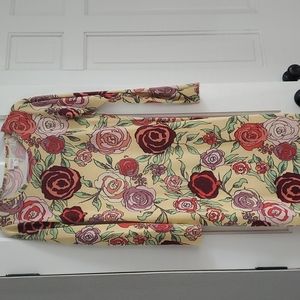 LuLaRoe XS Debbie dress
